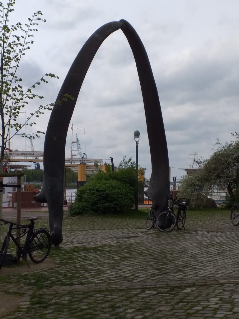 Wahlkiefer am Utkick in Vegesack
Der Walkiefer steht am Utkiek, direkt neben der Einfahrt zum Vegesacker Hafen auf der Maritimen Meile. Dort wurde der originale Kiefer eines Blauwals aufgestellt; heute steht an derselben Stelle ein Bronzeguss der Bildhauerin Christa Baumgärtel.

📍 Exakte Lage
Utkiek Vegesack

Am südlichen Ende der Alten Hafenstraße

Oberhalb des Hafens, mit Blick auf Weser und Museumshafen